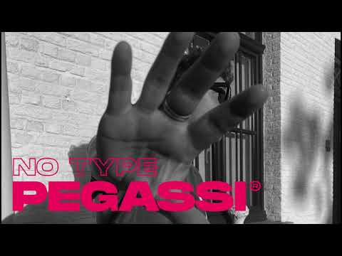 Pegassi - No Type