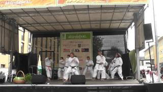 preview picture of video 'Åhus Karate Club's show showing Kata Heian Nidan'