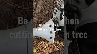 Tree branch breaks and hits man on a ladder #fyp #shorts #accidents #saw #chainsaw #injury #gopro