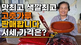 2023년 최상품 햇 고춧가루 1근 가격은? 5근 이상 무료배송 건고추 고추재배 고추시세
