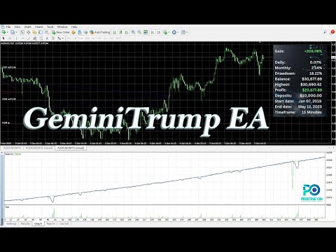 Video Gemini Trump