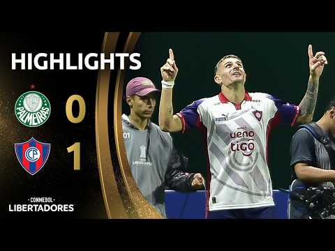 bg-highlight