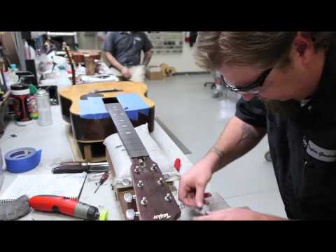 Vintage Taylor Guitar DN Guitar Repair