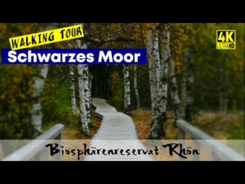 Schwarzes Moor in der Rhön