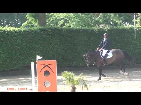 Jacadello (Cascadello x Lordanos 2014) Koningsbosch