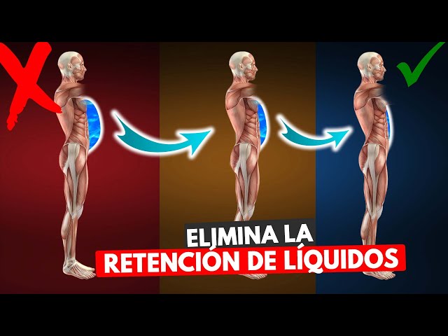 Vídeo relacionado con Stop a la retención de líquidos: El manual definitivo para eliminar la retencion de líquidos en tu cuerpo