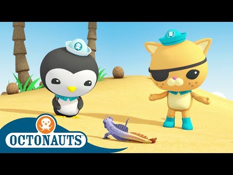 Can Fish Walk?