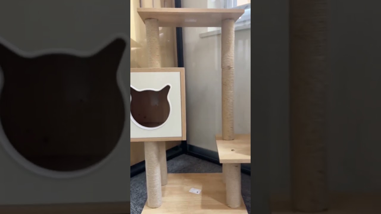 Cat Villa House! Luxury Cat Cage! #cat