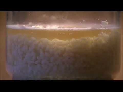 EMOTO - Reistest - Emotion positiv - negativ - ignorieren