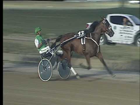 Trotto 22/07/2017 - 3ª corsa