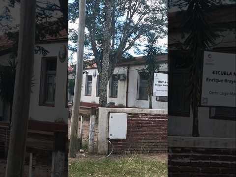 Mangrullo , departamento de Cerro Largo , Uruguay , interior turbo/mega/ultra profundo 🇺🇾