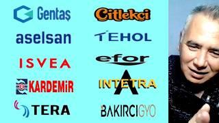 Gentaş Kimya - ÇitlekÇi - Aselsan - Tehol - Efor - İsvea - Kardemir çe