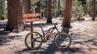 Juniper - The serene side of Mammoth Bike Park