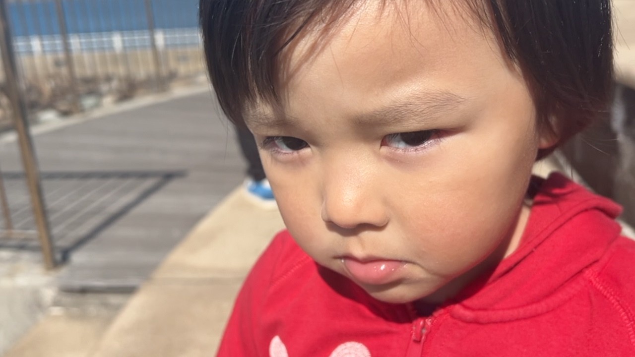 未確認生物発見？！ トムファミリー、ペットを飼う😳