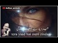 Nusrat Fateh Ali Khan Status L Tera Pyaar Hai Meri Zindagi L Tera Yaad Hai Meri Zindagi L Status