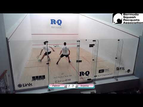 David Palmer vs Laurens Jan Anjema - Finals