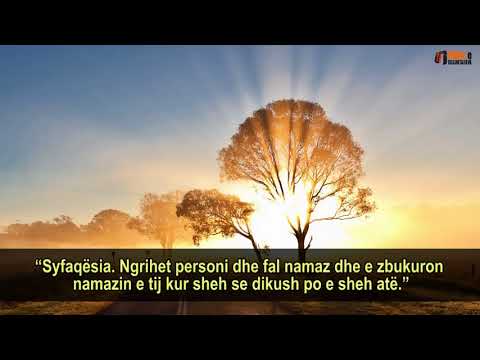 Frika e selefëve nga hipokrizia në vepër! Shejh Salih el Feuzani