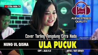 Download lagu ULA PUCUK NUNG UL QISMA COVER TARLING TENGDUNG CIT... mp3