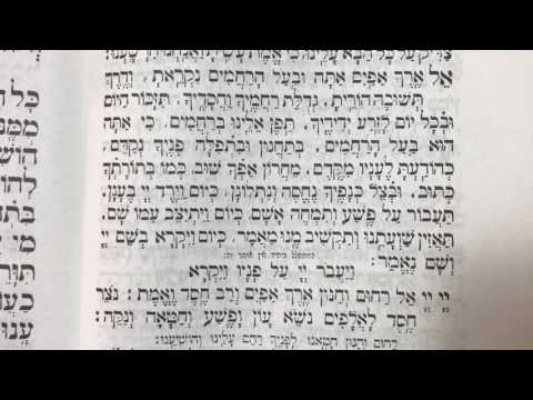Tefilah 33 Kel Erech Apayim, Vayavor - Prayer - Sharchris - תפילה 33 קל ארך אפים, ויעבר – שחרית