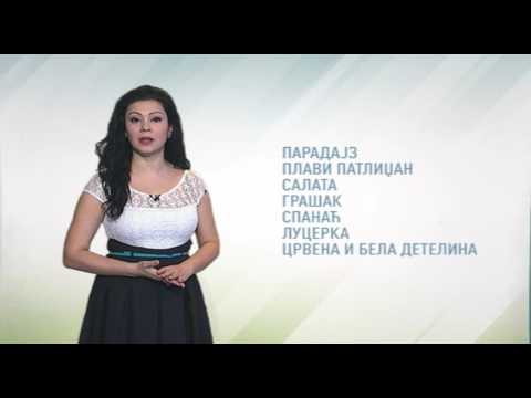 Zelena prognoza, 18.3.2016. - O neophodnim merama u proizvodnji rasada paprike i paradajza