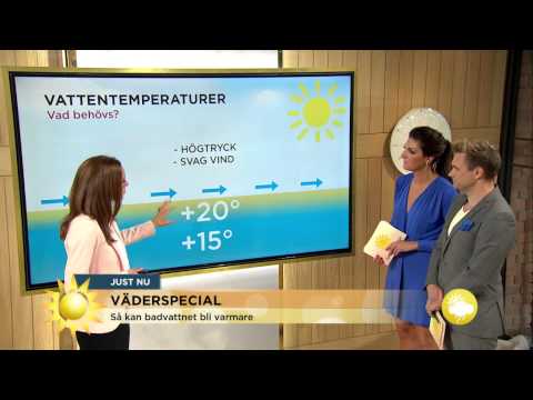 Dagens badtemperaturer - Nyhetsmorgon (TV4)