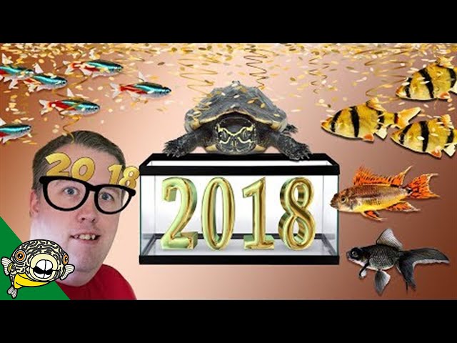 MY AQUARIUM NEW YEARS RESOLUTION