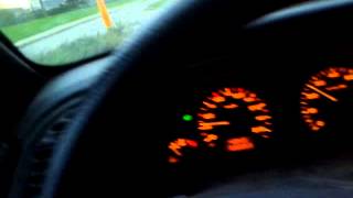 The Coughing Lioness