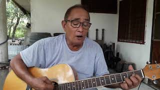 My Happiness - Marty Robbins / Cover