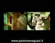 Videoclip: ''Sara'' - Paolo Meneguzzi 