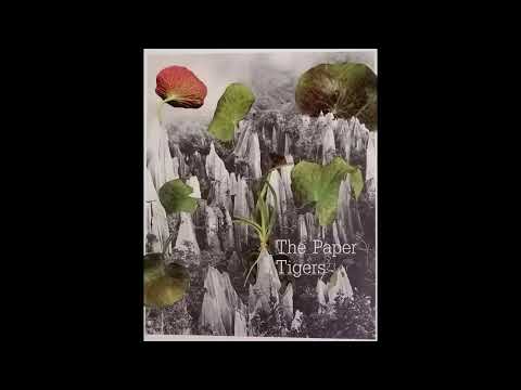 The Paper Tigers - Fit For The New World