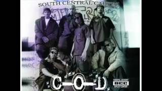 South Central Cartel Gang Stories