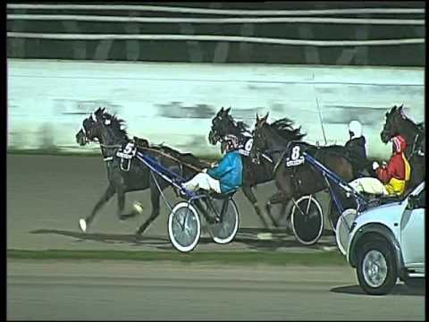 Trotto 29/10/2015 - 6° corsa