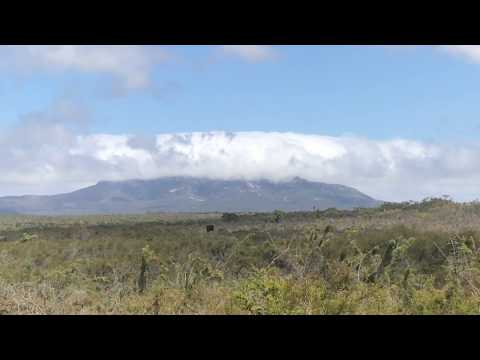 CLOUDS COVERING MOUNT MANYPEAKS - ALBANY WA