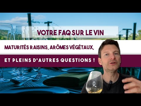 , title : 'FAQ - Vos QUESTIONS sur le VIN (maturités raisin, arômes raisin versus vin, notes végétales, etc)'