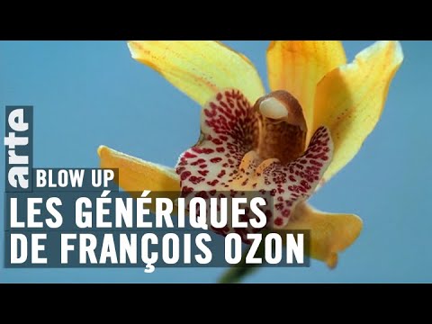 Les Génériques de François Ozon - Blow Up - ARTE