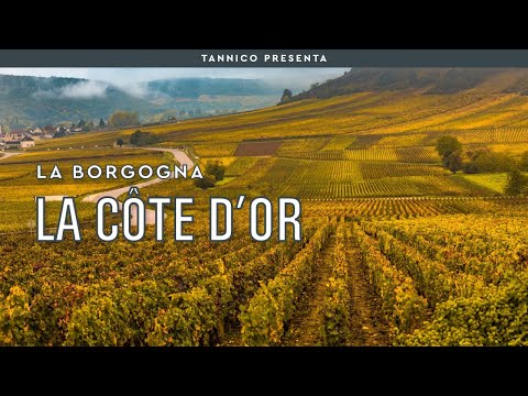 La Côte D'Or | Tannico Flying School