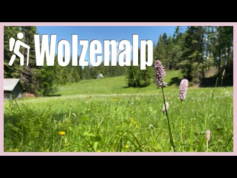 🪷 Die Wolzenalp - Wanderung im Toggenburg von Krummenau nach Nesslau