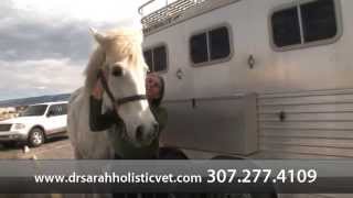 preview picture of video 'Ten Mile Hoslitic Veterinary Care - Short | Casper, WY'