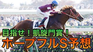 【ホープフルS】根拠0！競馬1年目の本気予想【もはや願望】