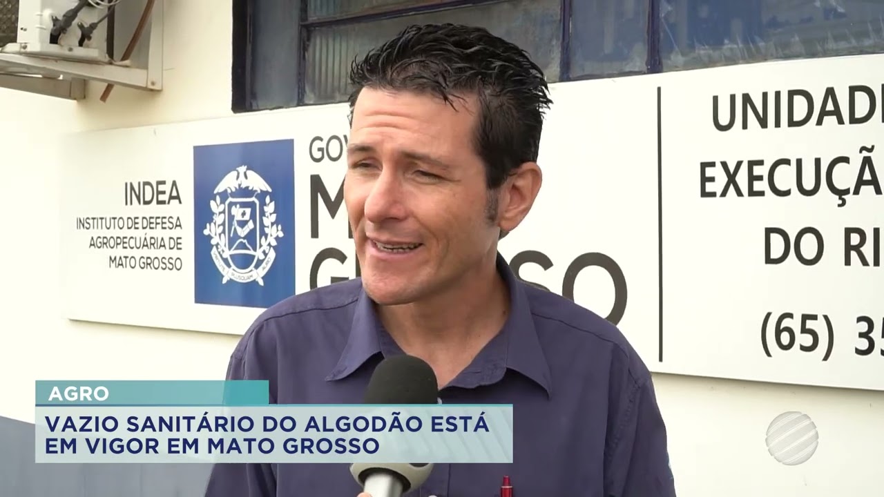 VAZIO SANITÁRIO DO ALGODÃO ESTÁ EM VIGOR EM MATO GROSSO