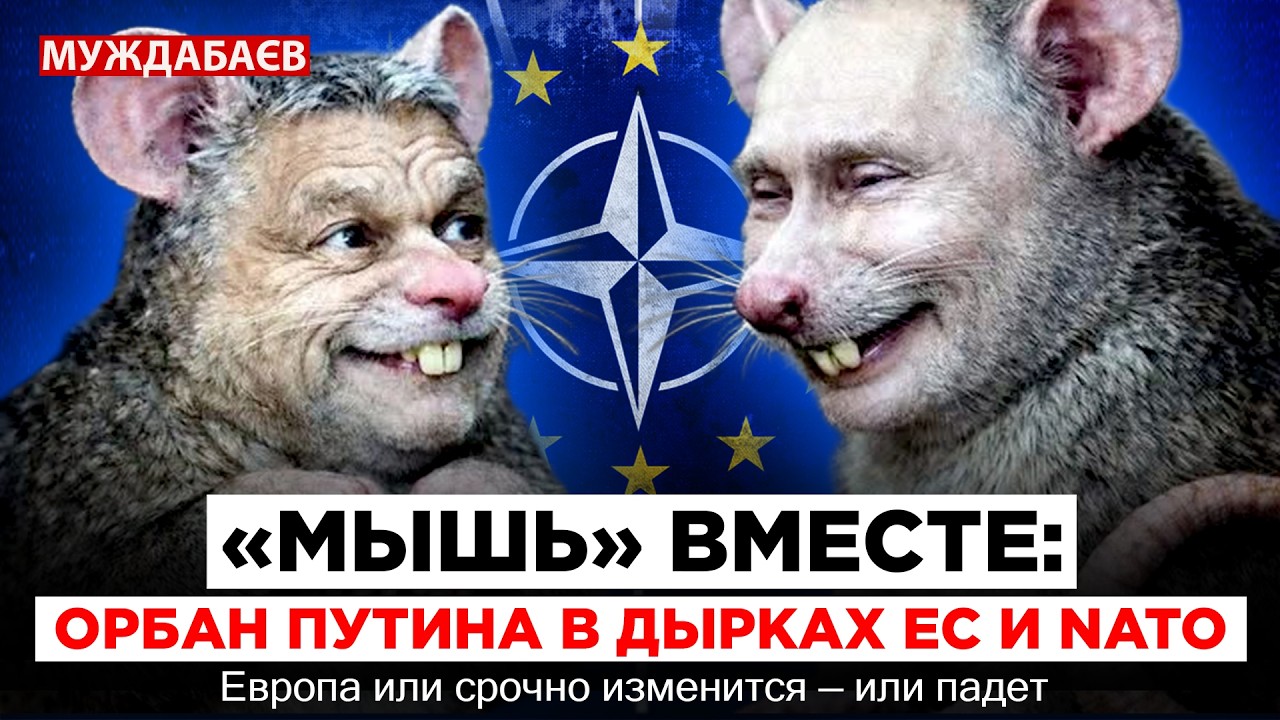 «МЫШЬ» ВМЕСТЕ: ОРБАН ПУТИНА В ДЫРКАХ ЕС И NATO. Европа или срочно изменится — и?