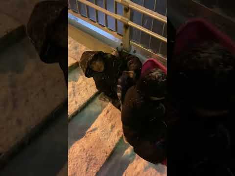 凸部の分離 - 定義