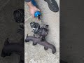 How To Open A Jetta TDI Turbo