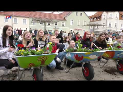 Elsterwerda: Frühblüher-Aktion auf dem Marktplatz  - LAUSITZWELLE