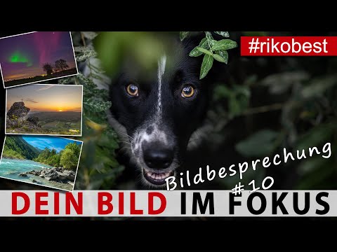 Dein Bild im Fokus #10 Fotografieren lernen durch Bildanalyse & Bildbesprechung besser fotografieren