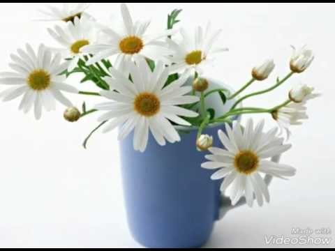 Мантра Deva Premal - Will you hear me.