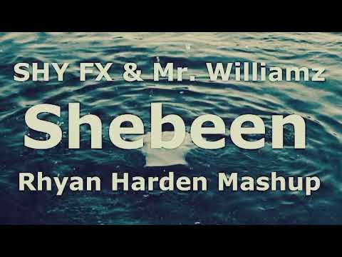 SHY FX & Mr. Williams feat. Breakage - Shebeen (Rhyan Harden mashup)