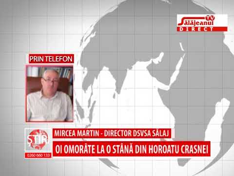 OI OMORATE LA O STANA DIN HOROATU CRASNEI