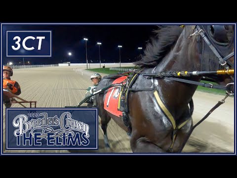 2023 Breeders Crown Elims - 3CT
