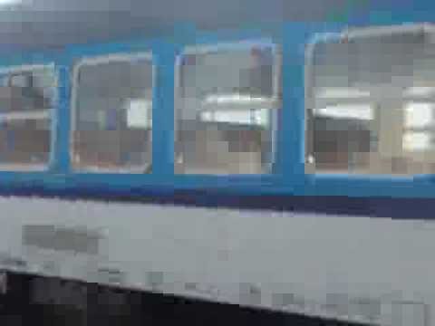 vlak sysel ve starém kolíně